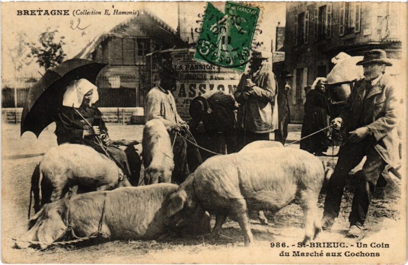 Carte postale ancienne Saint-Brieuc Un Coin du Marche aux Cochons à Saint-Brieuc