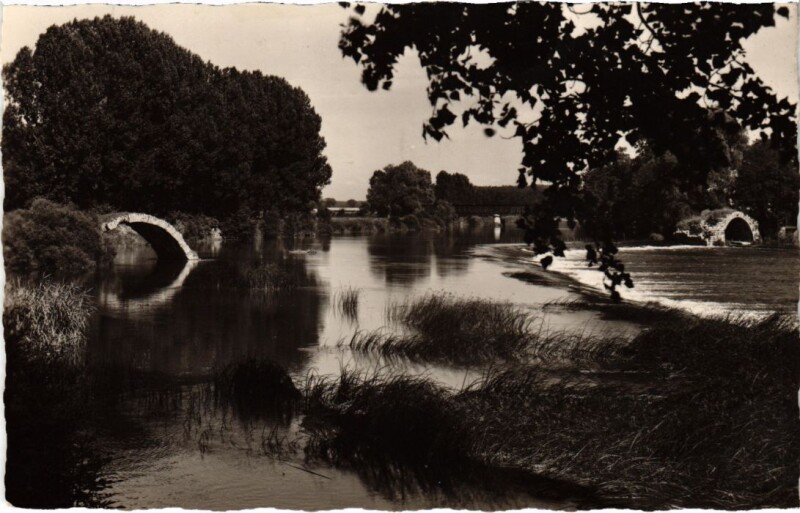 Carte postale ancienne Dole vieux pont sur le Doubs