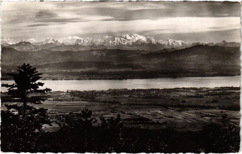 Carte postale ancienne La Route Blanche