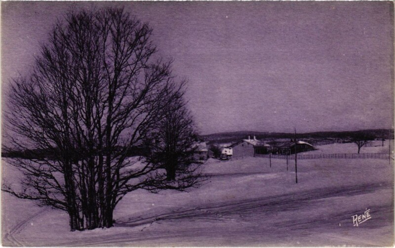 Carte postale ancienne La Cure