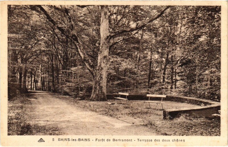 Carte postale ancienne Bains les Bains Foret de Bertramont Terrasse des deux chenes