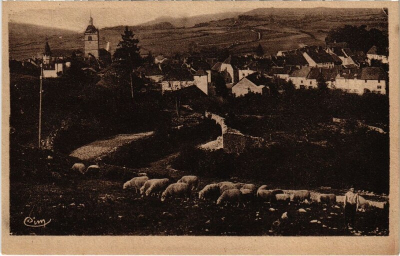 Carte postale ancienne Orgelet vue generale à Orgelet