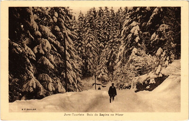 Carte postale ancienne Bois de Sapins en Hiver