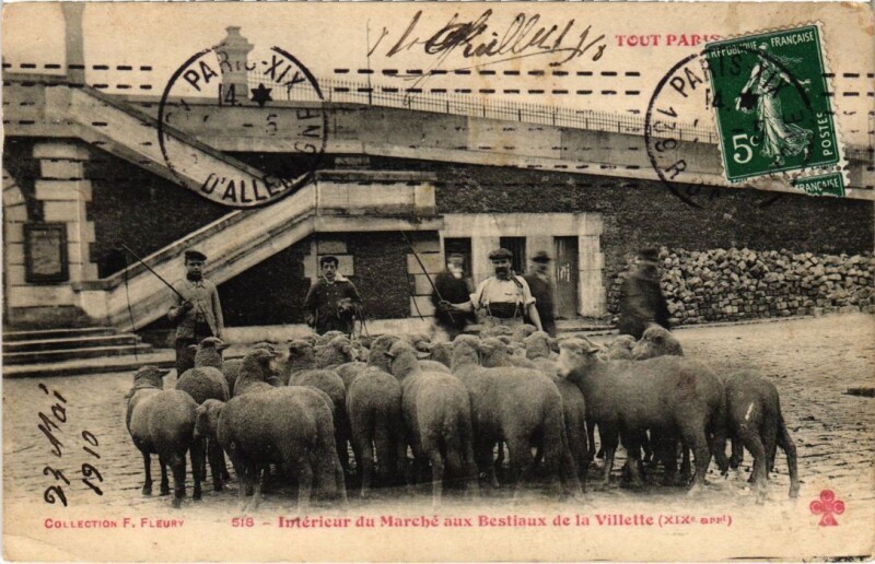 Carte postale ancienne Intérieur du Marché aux Bestiaux de la Villette à Paris 19e