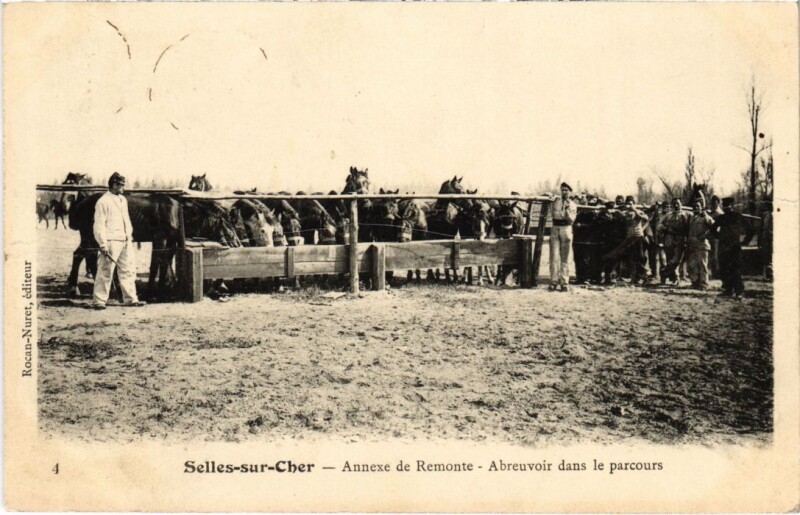 Carte postale ancienne Selles sur Cher Annexe de Remonte France à Selles-sur-Cher