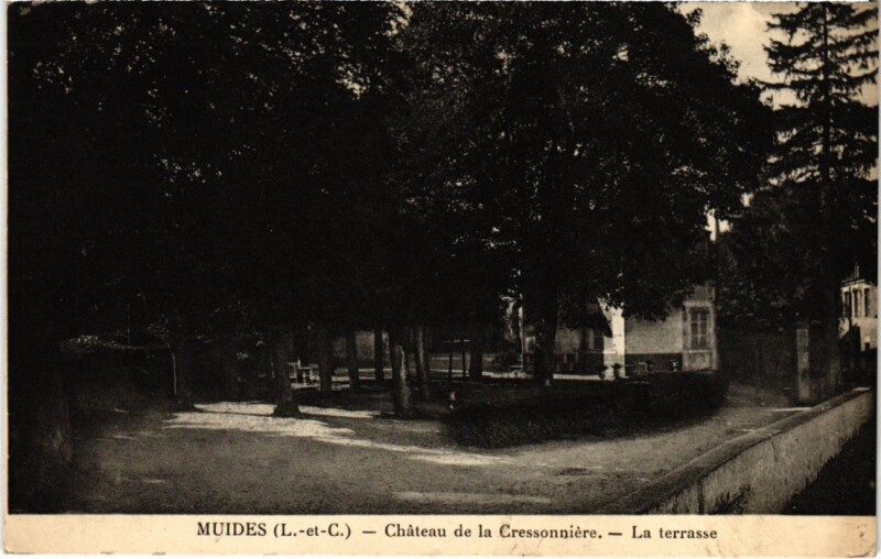 Carte postale ancienne Muides Chateau de la Cressonniere France