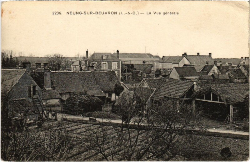 Carte postale ancienne Neung-Sur-Beuvron La Vue Generale France à Neung-sur-Beuvron