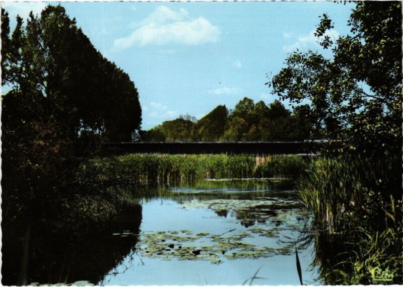 Carte postale ancienne Pezou Bords du Lac France à Pezou