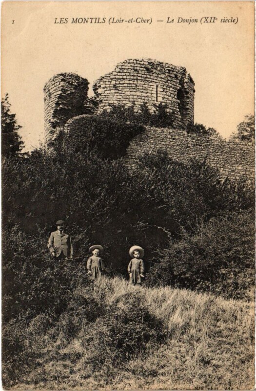 Carte postale ancienne Les Montils Le Donjon France aux Montils