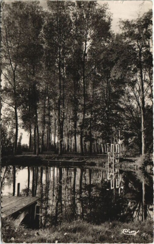 Carte postale ancienne Toucy La Baignade à Toucy
