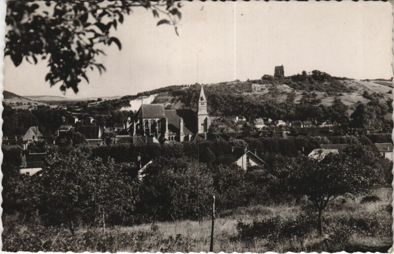 Carte postale ancienne Saint-Julien-du-Sault Vue Generale à Saint-Julien-du-Sault
