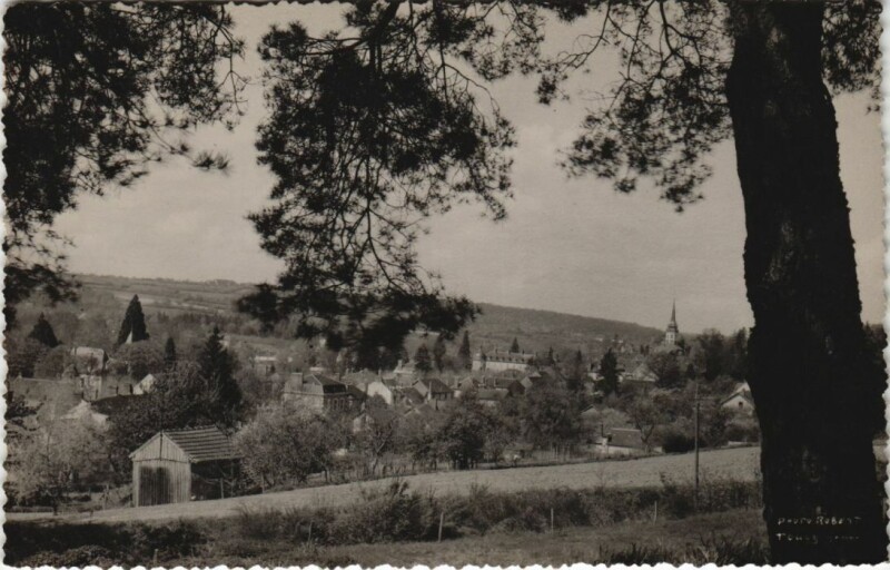 Carte postale ancienne Toucy Vue Panoramique à Toucy