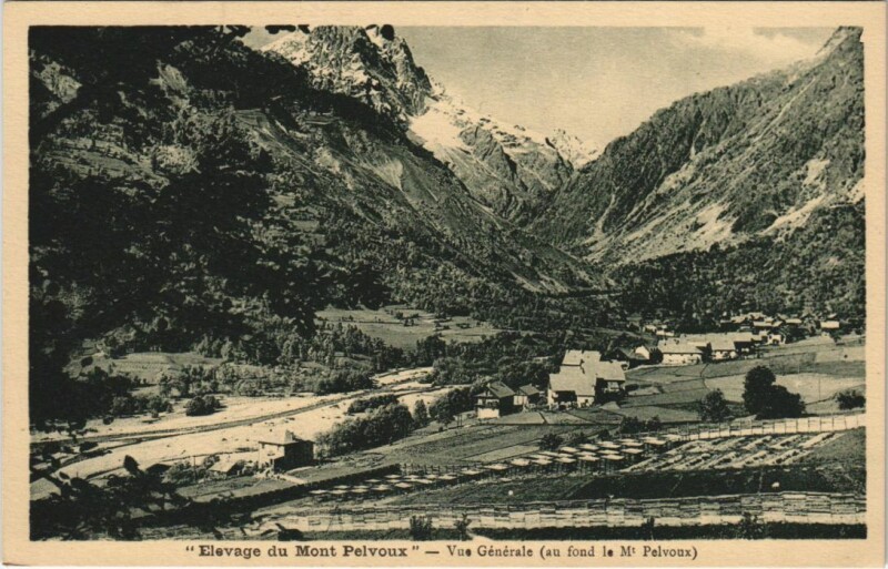 Carte postale ancienne Pelvoux Elevage du Mont Pelvoux - Vue Generale