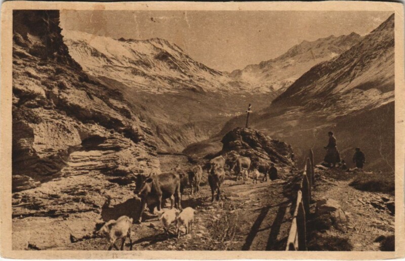 Carte postale ancienne La Grave Le Chazelet - En Route Pour les Paturages à La Grave