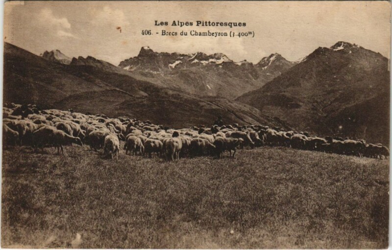 Carte postale ancienne Brecs du Chambeyron