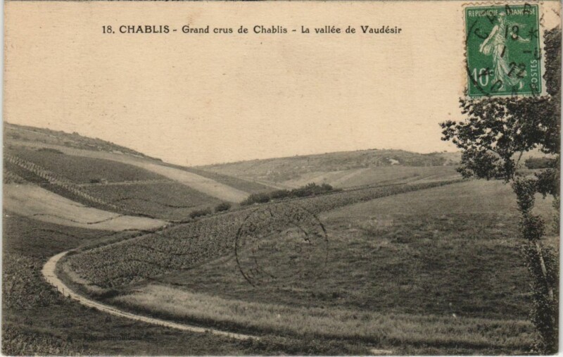 Carte postale ancienne Chablis Grand crus de Chablis France à Chablis