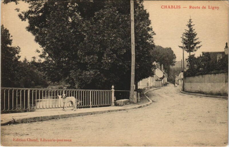 Carte postale ancienne Chablis Route de Ligny France à Chablis