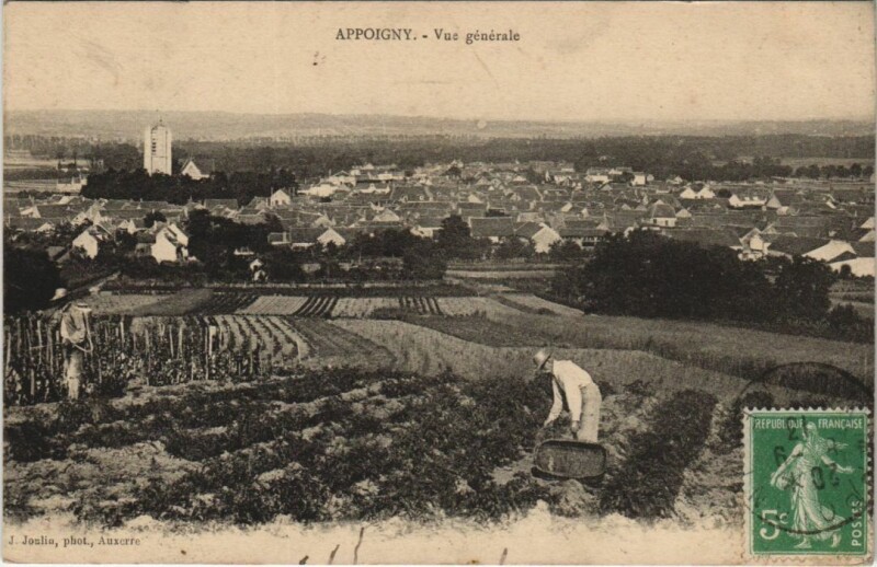 Carte postale ancienne Appoigny Vue Generale France à Appoigny