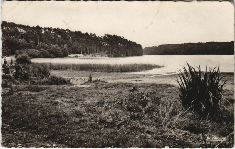 Carte postale ancienne Saint-Bonnet-Troncais Etang