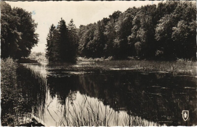 Carte postale ancienne Etang du Puits Cerdon - Reserve de l'Etang