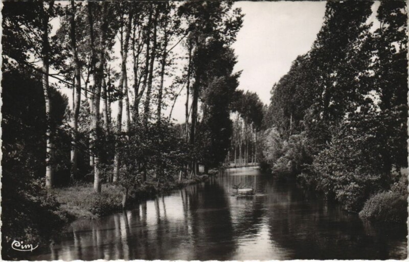 Carte postale ancienne Nogent-le-Roi Bords de l'Eure à Nogent-le-Roi