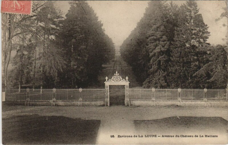 Carte postale ancienne Digny La Halliere - Avenue du Chateau de La Halliere à Digny