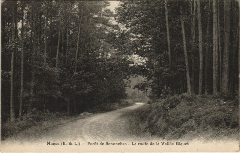 Carte postale ancienne Manou Foret de Senonches - La Route de la Vallee Biquet à Manou