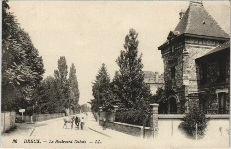 Carte postale ancienne Dreux Le Boulevard Dubois à Dreux