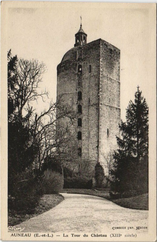 Carte postale ancienne Auneau La Tour du Chateau France