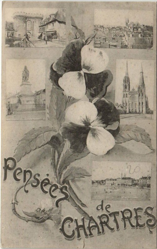 Carte postale ancienne Chartres Pensee de Chartres France à Chartres