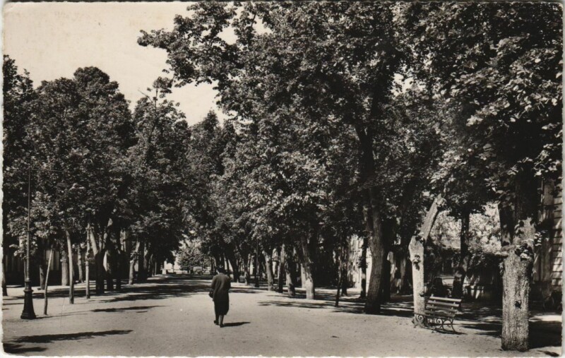 Carte postale ancienne Moulins Cours Anatole France à Moulins