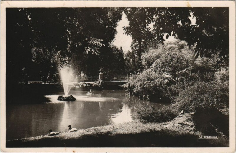 Carte postale ancienne Vichy Le bassin des Cygnes dans les grands parcs à Vichy