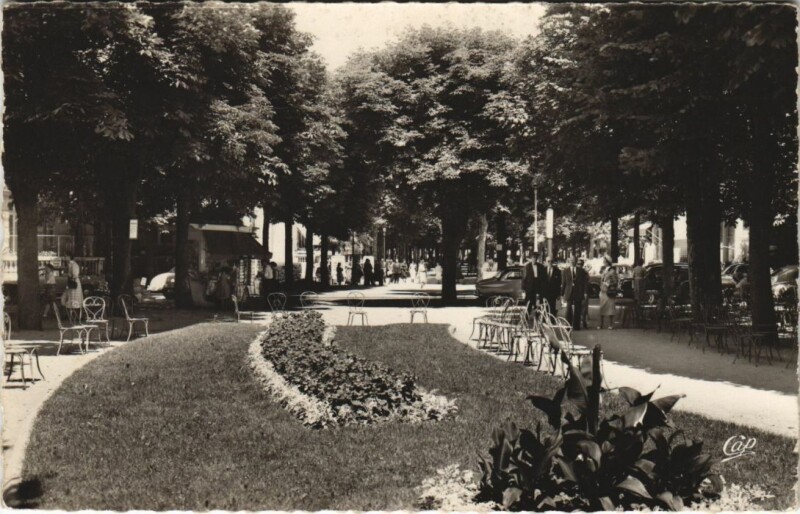 Carte postale ancienne Vichy Les Allees du Parc à Vichy