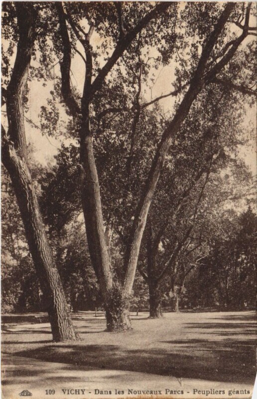 Carte postale ancienne Vichy Dans les Nouveaux Parcs à Vichy