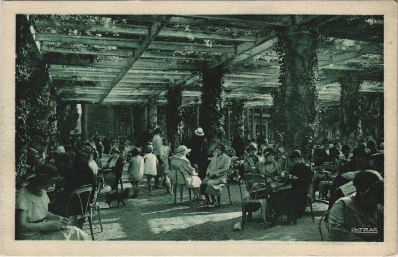 Carte postale ancienne Vichy Sous les Pergolas à Vichy