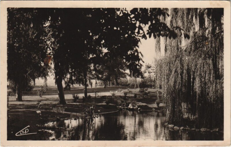Carte postale ancienne Vichy Les Parcs et le nouveau Bassin des Cygnes à Vichy