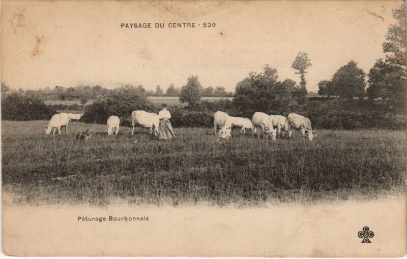 Carte postale ancienne Paturage Bourbonnais
