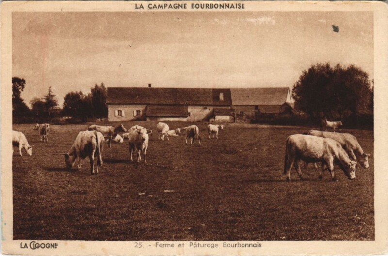 Carte postale ancienne Ferme et Paturage Bourbonnais