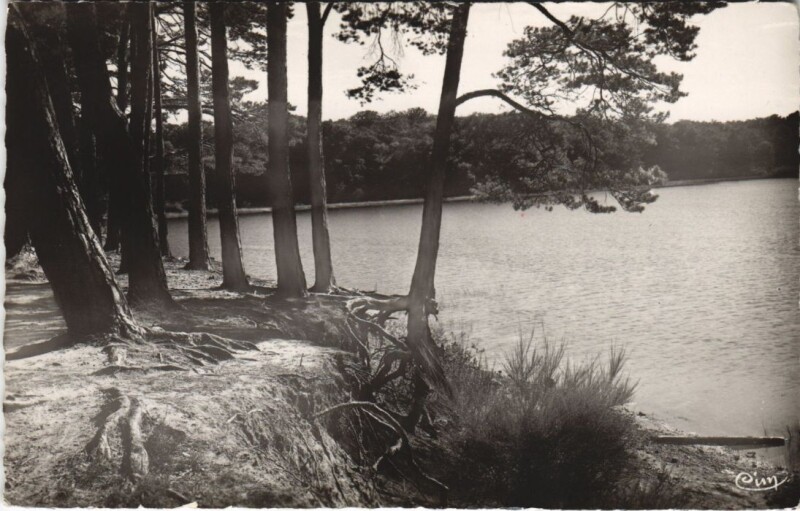 Carte postale ancienne Saint-Bonnet-Troncais Un Coin du Lac
