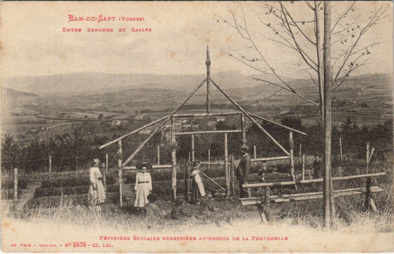 Carte postale ancienne Pépiniere Scolarie Forestiere