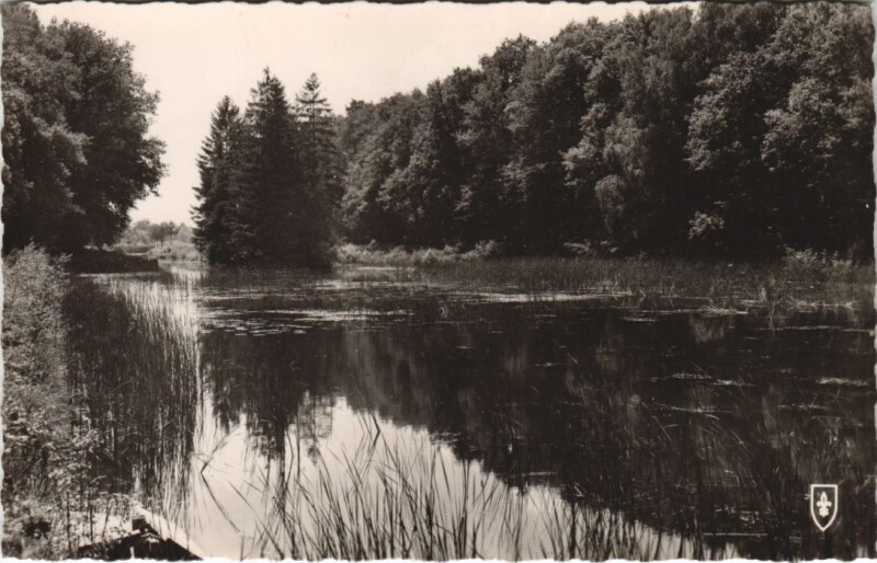 Carte postale ancienne Etang du Puits Reserve et l'Etang