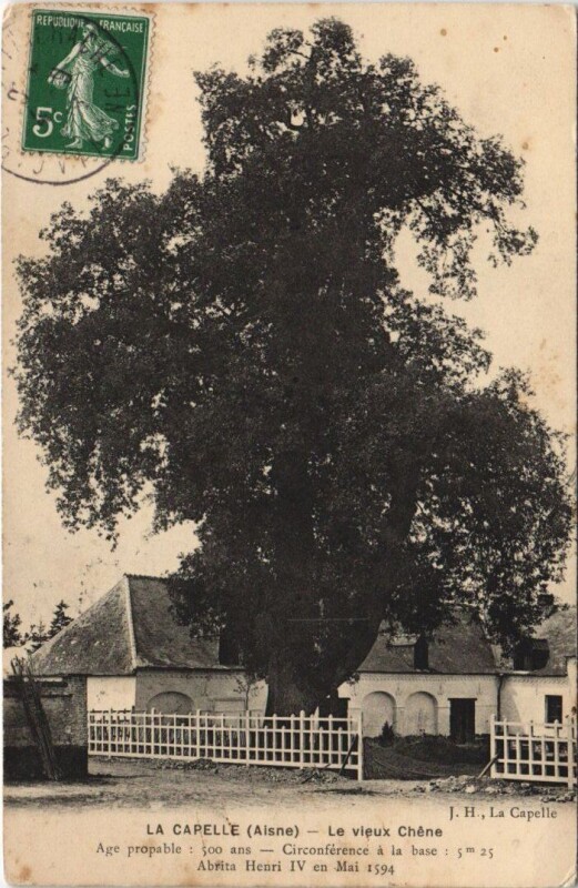 Carte postale ancienne La Capelle La vieux chene à La Capelle