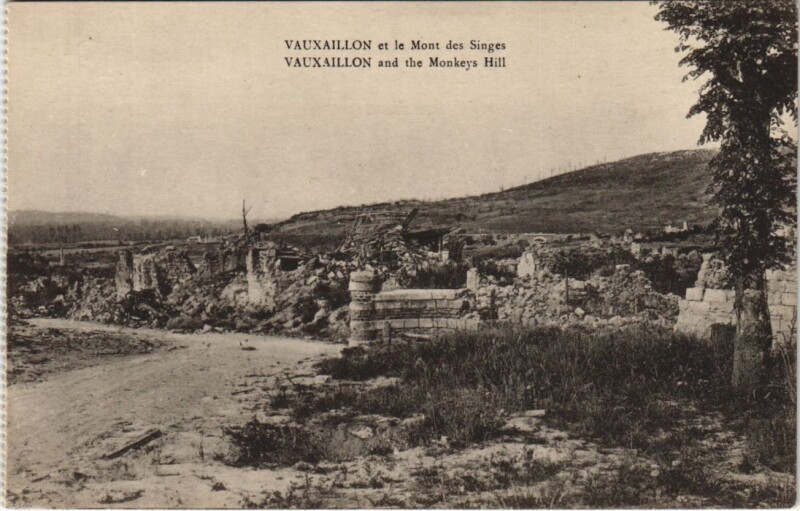 Carte postale ancienne Vauxaillon et le mont des singes à Vauxaillon