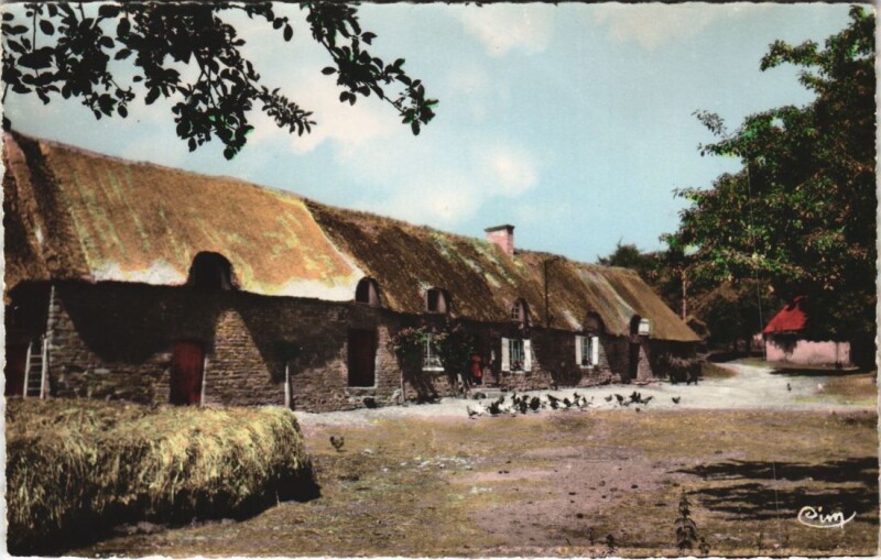 Carte postale ancienne Vieille Ferme Normande