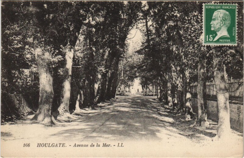 Carte postale ancienne Houlgate Avenue de la Mer à Houlgate