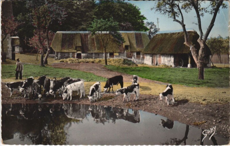 Carte postale ancienne La Normandie - Aux Bords de la Mare