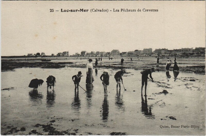Carte postale ancienne Luc-sur-Mer Les Pecheurs de Crevettes à Luc-sur-Mer