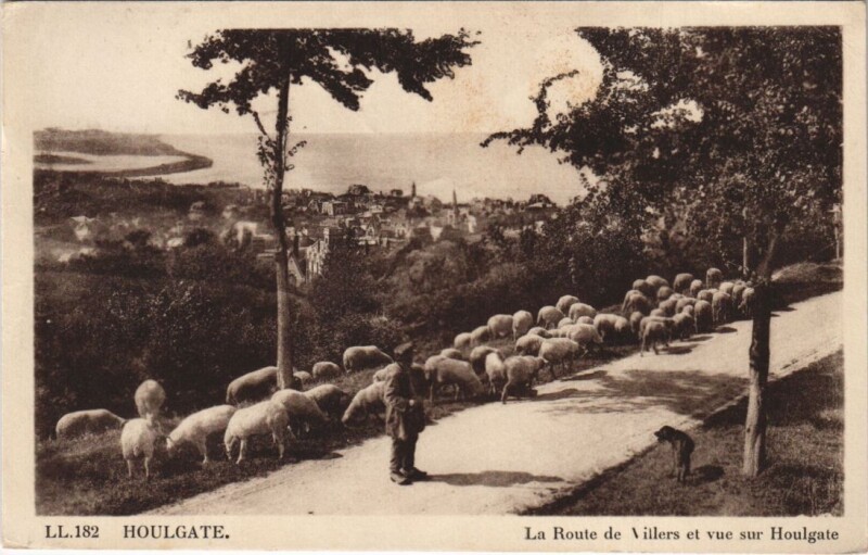 Carte postale ancienne Houlgate La Route de Villers et Vue sur Houlgate à Houlgate