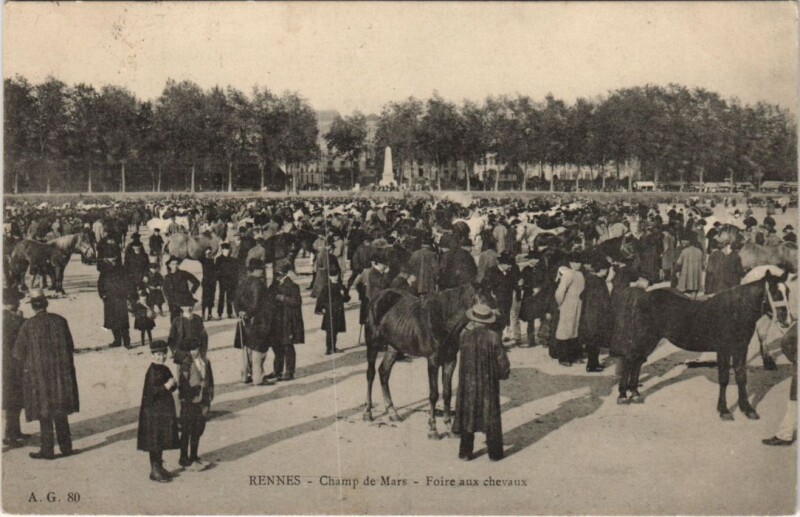 Carte postale ancienne Rennes Champ de Mars , Foire aux chaveaux à Rennes