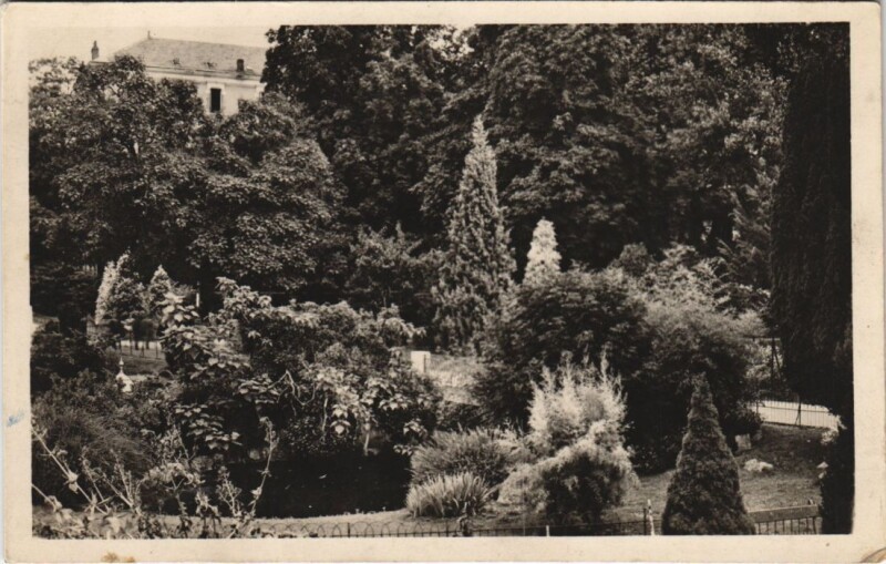 Carte postale ancienne Vichy Un Coin du Parc au Bassin des Cygnes France à Vichy